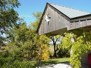 Back Forty Of Fredericksburg Bed and Breakfast Exteriör bild